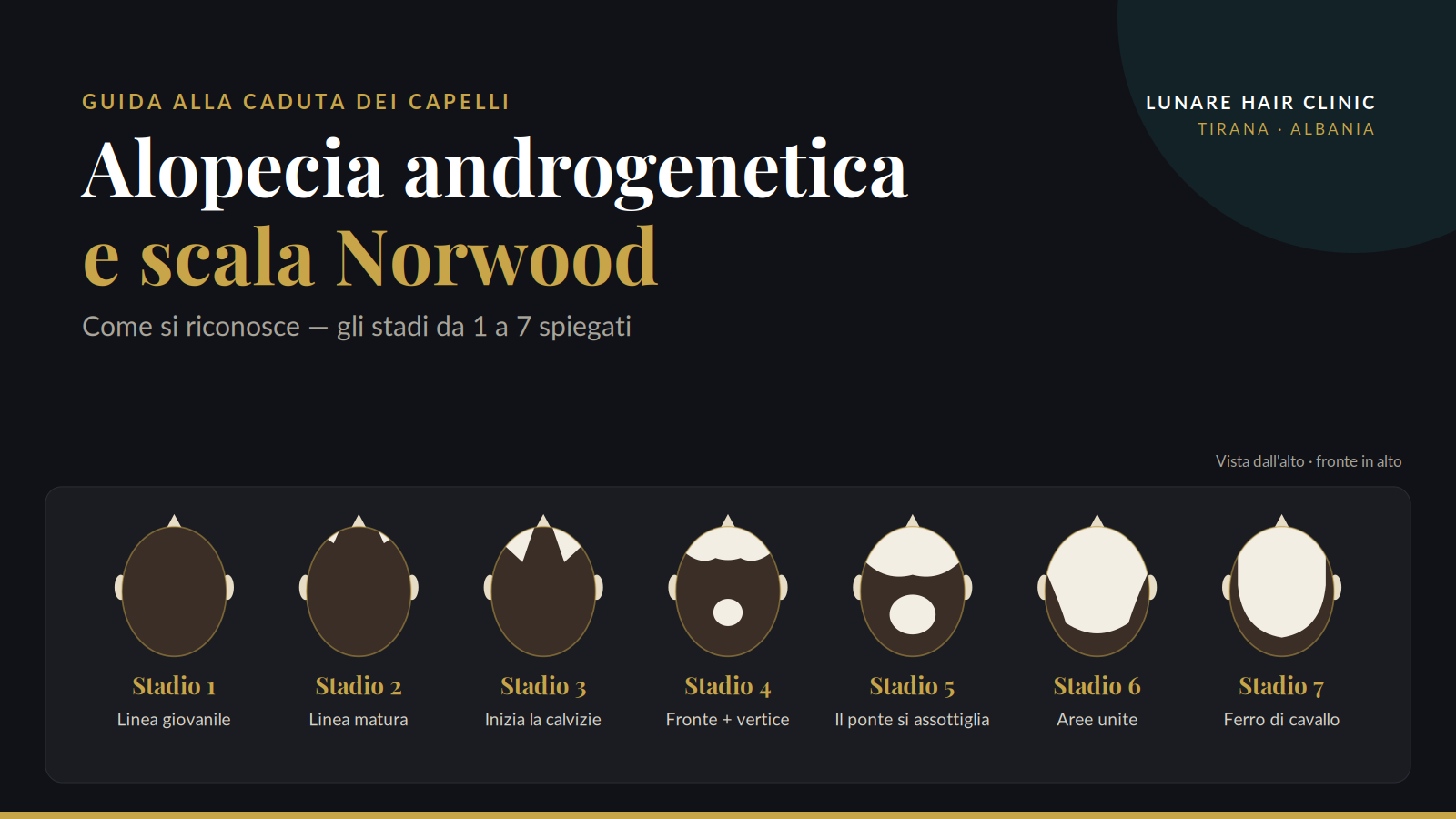 scala norwood